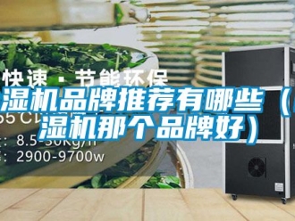 企業(yè)新聞除濕機(jī)品牌推薦有哪些（除濕機(jī)那個(gè)品牌好）