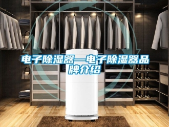 行業(yè)新聞電子除濕器—電子除濕器品牌介紹