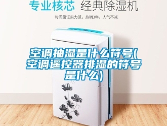 企業(yè)新聞空調抽濕是什么符號(空調遙控器排濕的符號是什么)