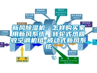 常見問題新風除濕機：怎樣購買家用新風系統(tǒng)，轉輪式熱回收空調機組-被動式新風系統(tǒng)