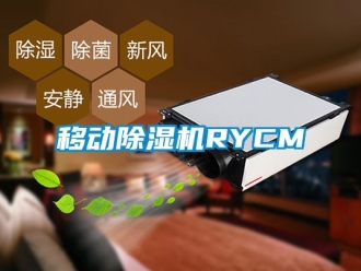 行業(yè)新聞移動(dòng)除濕機(jī)RYCM