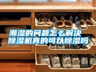 企業(yè)新聞潮濕的問題怎么解決 除濕機(jī)真的可以除濕嗎