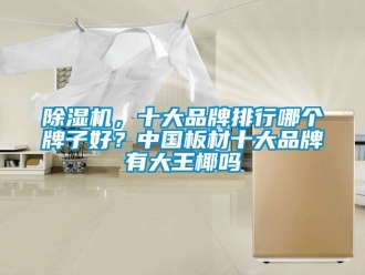 企業(yè)新聞除濕機，十大品牌排行哪個牌子好？中國板材十大品牌有大王椰嗎