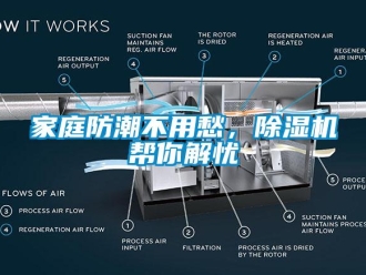 行業(yè)新聞家庭防潮不用愁，除濕機幫你解憂