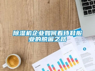 常見問題除濕機企業(yè)如何看待鞋服業(yè)的脫困之路