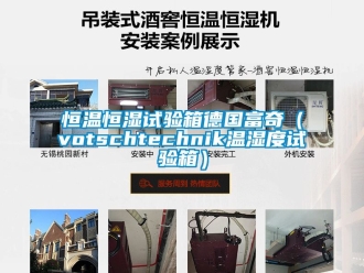 知識百科恒溫恒濕試驗箱德國富奇（votschtechnik溫濕度試驗箱）