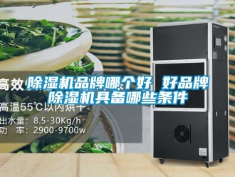 企業(yè)新聞除濕機(jī)品牌哪個好 好品牌除濕機(jī)具備哪些條件