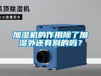 常見問題加濕機的作用除了加濕外還有別的嗎？