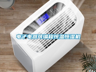 知識百科電子電器可編程恒溫恒濕機