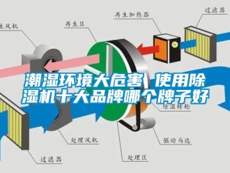 企業(yè)新聞潮濕環(huán)境大危害 使用除濕機(jī)十大品牌哪個(gè)牌子好