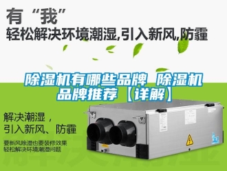 企業(yè)新聞除濕機(jī)有哪些品牌 除濕機(jī)品牌推薦【詳解】