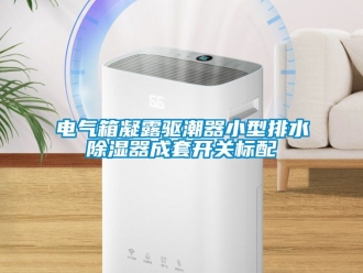 行業(yè)新聞電氣箱凝露驅(qū)潮器小型排水除濕器成套開(kāi)關(guān)標(biāo)配