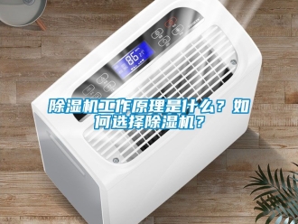 行業(yè)新聞除濕機(jī)工作原理是什么？如何選擇除濕機(jī)？