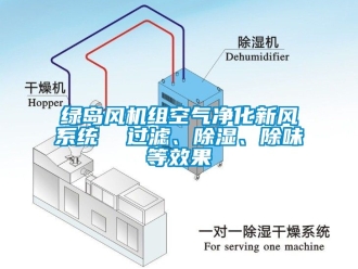 常見問題綠島風(fēng)機組空氣凈化新風(fēng)系統(tǒng)  過濾、除濕、除味等效果