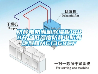 常見問題防靜電防潮箱除濕柜1440升＊低濕度防靜電防潮除濕箱MC1369CF