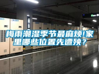 行業(yè)新聞梅雨潮濕季節(jié)最麻煩!家里哪些位置先遭殃？