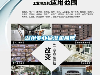 企業(yè)新聞湖州專業(yè)抽濕機(jī)品牌