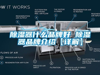 行業(yè)新聞除濕器什么品牌好 除濕器品牌介紹【詳解】