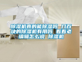 行業(yè)新聞除濕機真的能除濕嗎 幾百塊的除濕機有用嗎 看看老編輯怎么說 除濕機