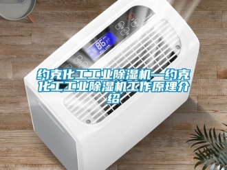 常見問題約克化工工業(yè)除濕機—約克化工工業(yè)除濕機工作原理介紹