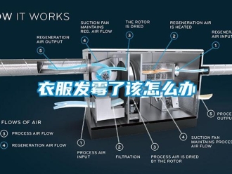 常見(jiàn)問(wèn)題衣服發(fā)霉了該怎么辦