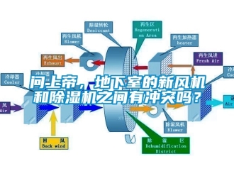 常見問題問上帝，地下室的新風(fēng)機和除濕機之間有沖突嗎？