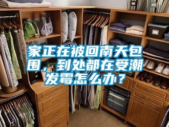 常見問(wèn)題家正在被回南天包圍，到處都在受潮發(fā)霉怎么辦？