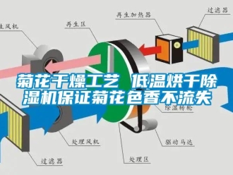 行業(yè)新聞菊花干燥工藝 低溫烘干除濕機保證菊花色香不流失