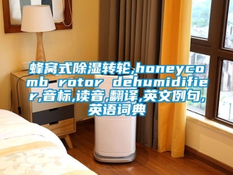 常見問題蜂窩式除濕轉(zhuǎn)輪,honeycomb rotor dehumidifier,音標,讀音,翻譯,英文例句,英語詞典