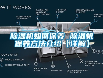 行業(yè)新聞除濕機(jī)如何保養(yǎng) 除濕機(jī)保養(yǎng)方法介紹【詳解】