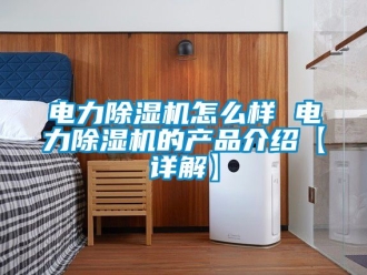 行業(yè)新聞電力除濕機怎么樣 電力除濕機的產品介紹【詳解】