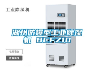 企業(yè)新聞湖州防爆型工業(yè)除濕機(jī) BCFZ10