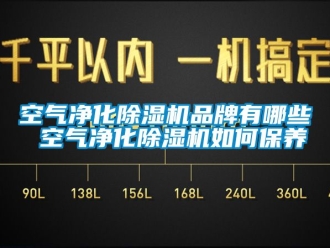 企業(yè)新聞空氣凈化除濕機(jī)品牌有哪些 空氣凈化除濕機(jī)如何保養(yǎng)