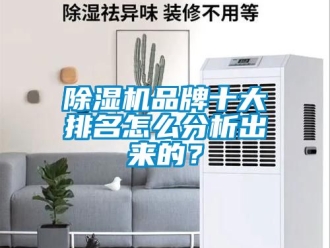 企業(yè)新聞除濕機(jī)品牌十大排名怎么分析出來的？