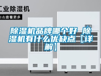 企業(yè)新聞除濕機(jī)品牌哪個好 除濕機(jī)有什么優(yōu)缺點(diǎn)【詳解】