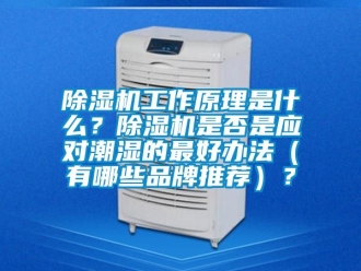 企業(yè)新聞除濕機工作原理是什么？除濕機是否是應對潮濕的最好辦法（有哪些品牌推薦）？