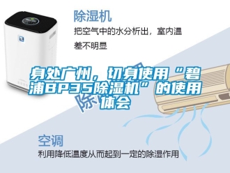 行業(yè)新聞身處廣州，切身使用“碧浦BP35除濕機”的使用體會