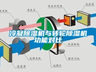 行業(yè)新聞冷凝除濕機與轉輪除濕機功能對比