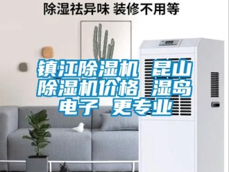 企業(yè)新聞鎮(zhèn)江除濕機(jī) 昆山除濕機(jī)價格 濕島電子 更專業(yè)