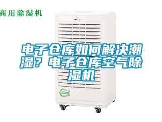 企業(yè)新聞電子倉(cāng)庫(kù)如何解決潮濕？電子倉(cāng)庫(kù)空氣除濕機(jī)