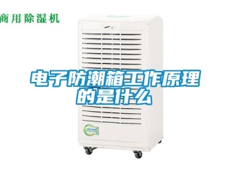 常見問題電子防潮箱工作原理的是什么