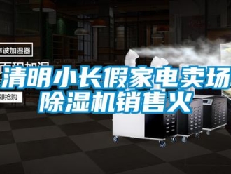 行業(yè)新聞清明小長假家電賣場除濕機銷售火