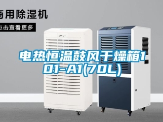 知識(shí)百科電熱恒溫鼓風(fēng)干燥箱101-A1(70L)