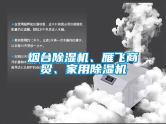 常見問題煙臺除濕機、雁飛商貿(mào)、家用除濕機