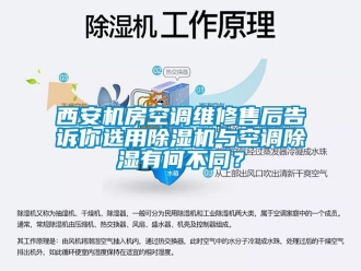 行業(yè)新聞西安機房空調(diào)維修售后告訴你選用除濕機與空調(diào)除濕有何不同？