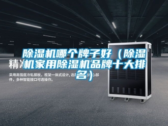 企業(yè)新聞除濕機(jī)哪個(gè)牌子好（除濕機(jī)家用除濕機(jī)品牌十大排名）