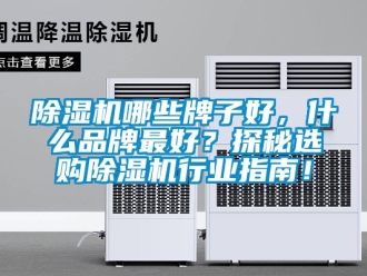 企業(yè)新聞除濕機哪些牌子好，什么品牌最好？探秘選購除濕機行業(yè)指南！