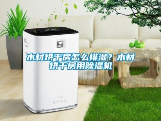 常見問題木材烘干房怎么排濕？木材烘干房用除濕機