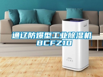 企業(yè)新聞通遼防爆型工業(yè)除濕機(jī) BCFZ10