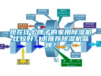 企業(yè)新聞現(xiàn)在什么牌子的家用除濕機(jī)比較好？求推薦除濕機(jī)品牌？